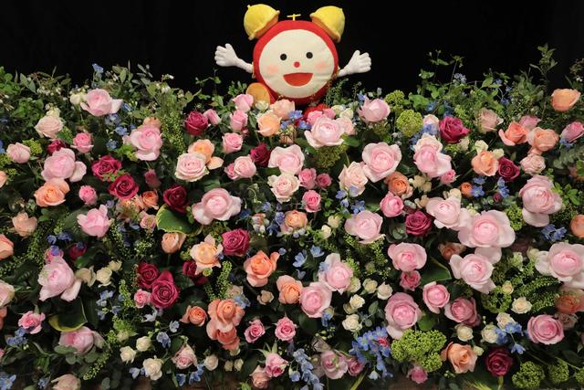めざましテレビ」で紹介された花 | フジテレビフラワーネット